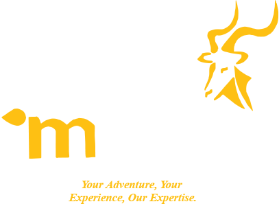 Grey Impala