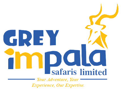 Grey Impala